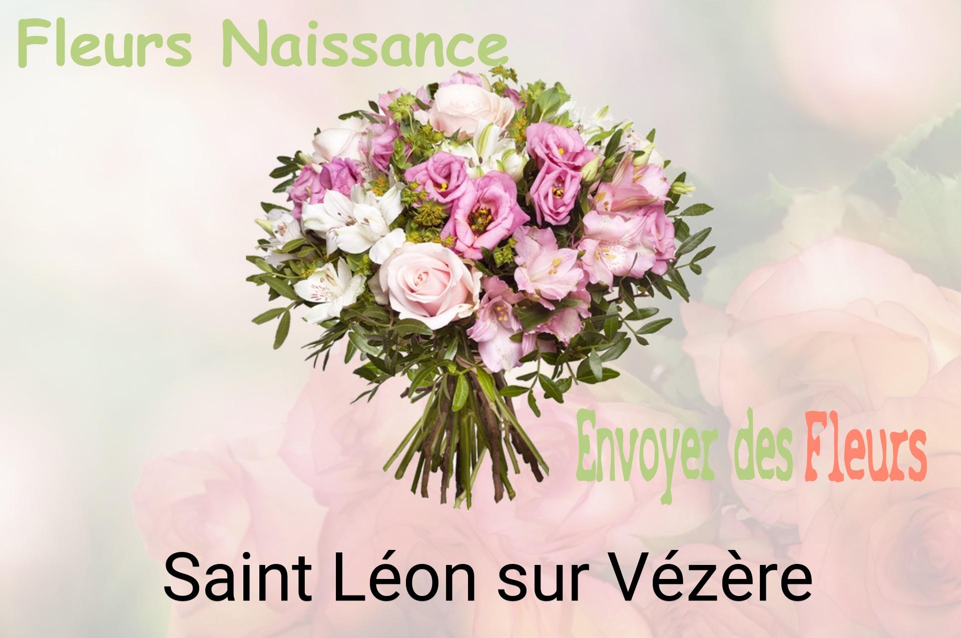 Bouquet de fleurs de naissance livré à Saint-Léon-sur-Vézère